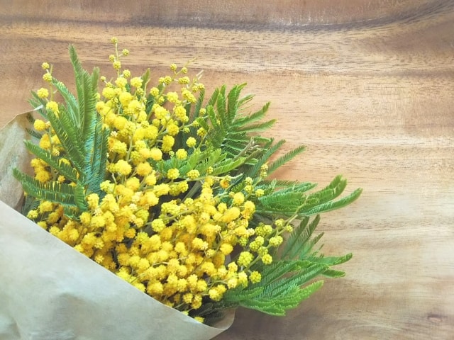 カナデルcmのロケ地はどこ 米倉涼子の内股ダンス振り付けは誰 でぃぐとぴニュース